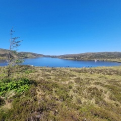 Lough Nambraddan May 2025 (4)
