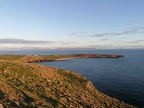 Muckross Head 13 April 2021 (2)