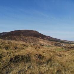 Walk around the Carrick area March 2020
