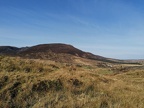 Walk around the Carrick area March 2020