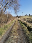 Local Photos 22 March 2020 (13)