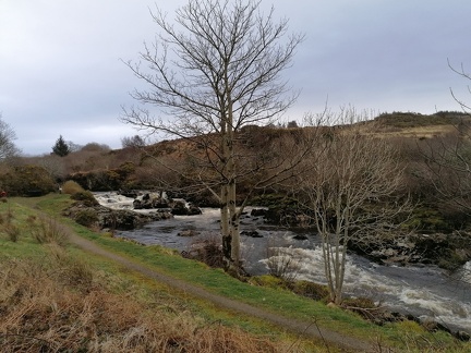 Local Photos 22 March 2020 (4)